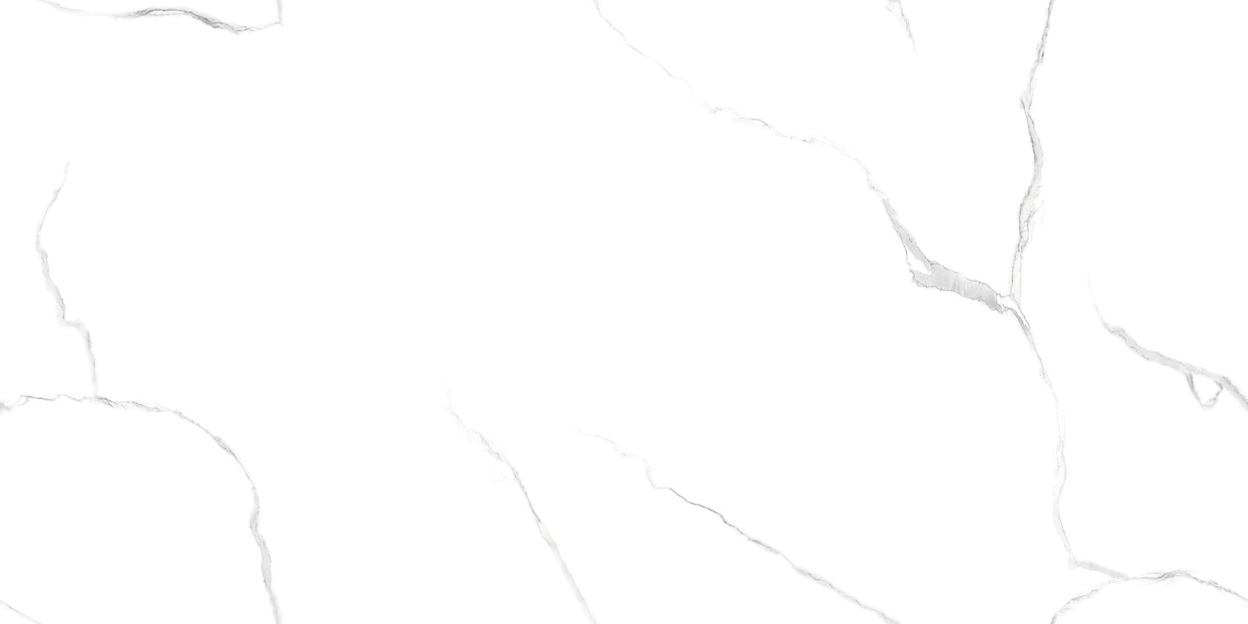 RC CRYSTLE SATVARIYO-P2