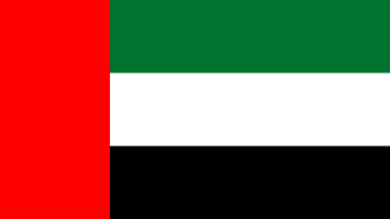 Flag_of_United_Arab_Emirates-512x256-1.png